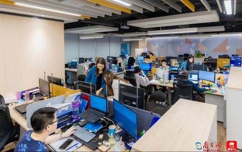 湾象更新 人力资源服务业激活大湾区高质量发展新动能