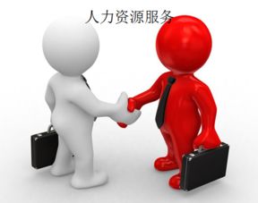 上海人力资源服务许可证办理全攻略 手把手教你搞定人力资源服务资质